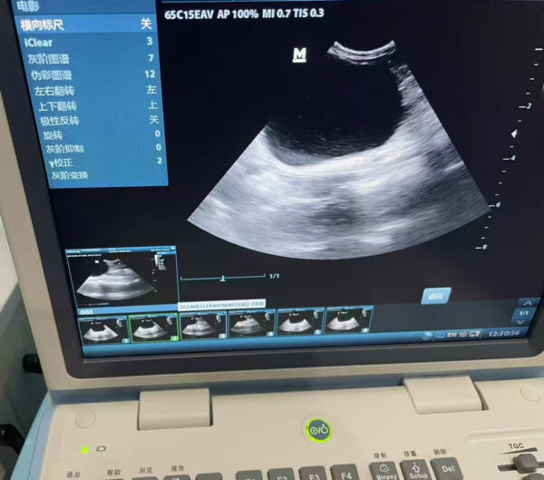 mindray DP-10VET Veterinary Ultrasound Systems-used - 画像 (3)